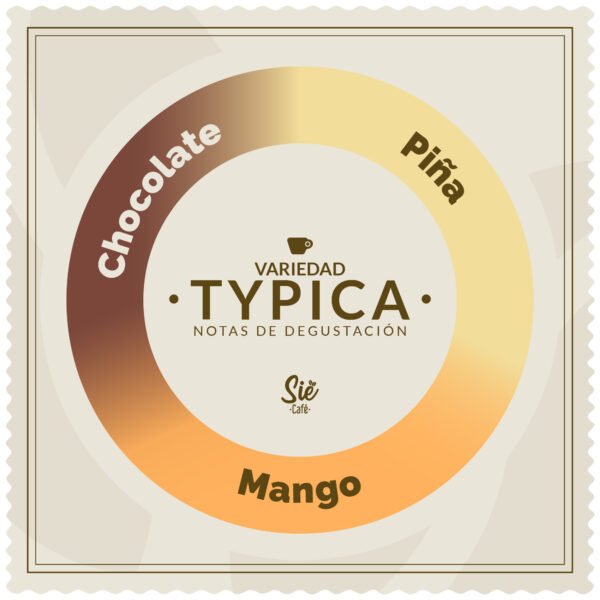 Alternative view of VIRTUOSO