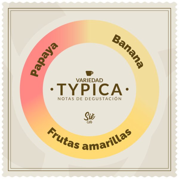 Alternative view of ORIGINS